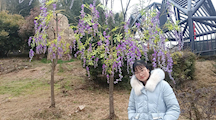校友风采——2005级工程管理专业校友胡金玲